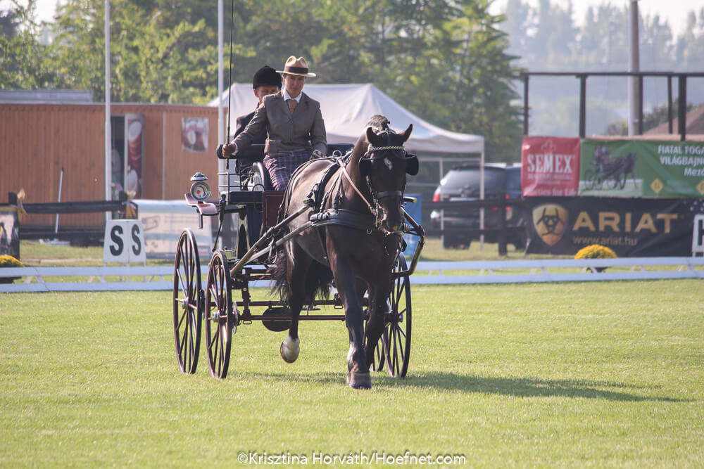 Mezőhegyes 2018: dressage Saturday