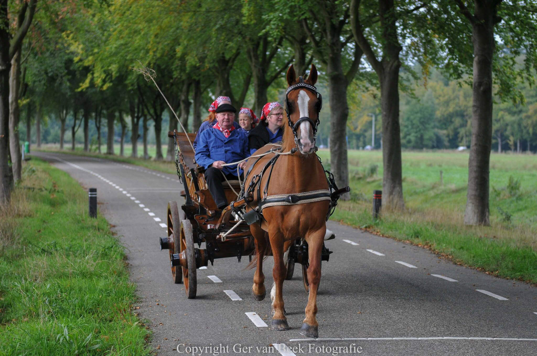 Nederlands Kampioenschap Traditioneel Gerij 2018