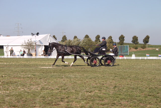 NK Hulsberg 2018: dressage