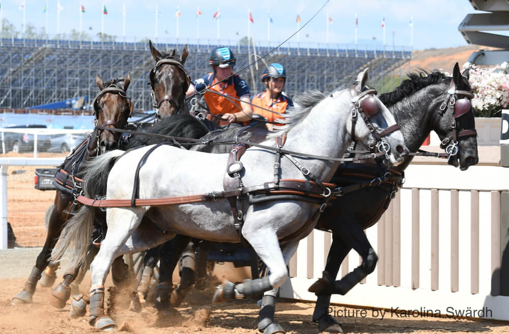 Grote veranderingen voor Manege Chardon