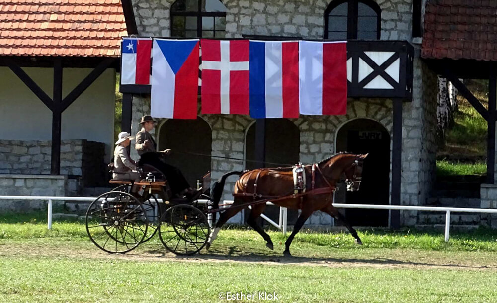 Walbrzych-Ksiaz 2018: impression