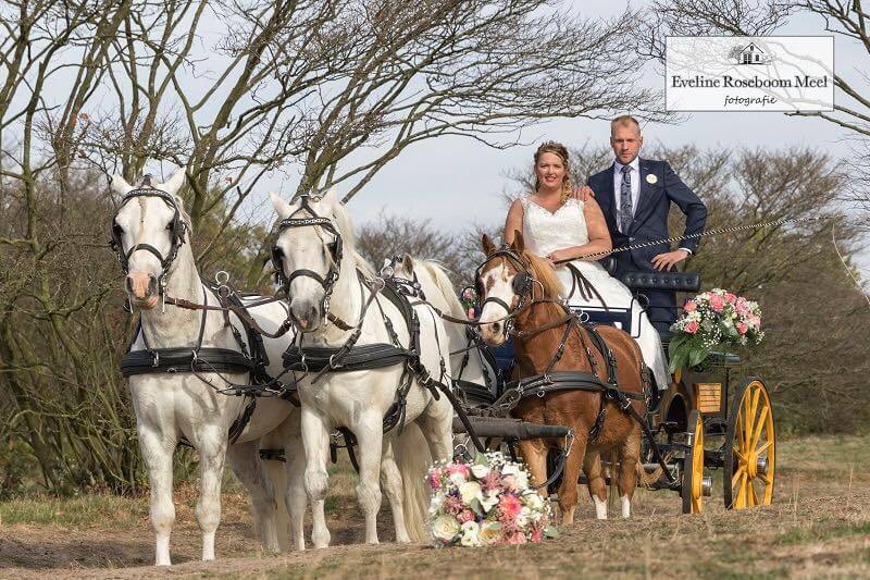 Marjolein Waarlé en Berry van de Krol getrouwd