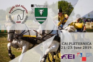 Gastfreundliches Turnier in Pleternica