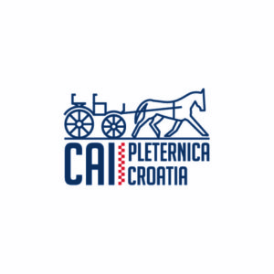 Pleternica 2019: all horses fit to compete