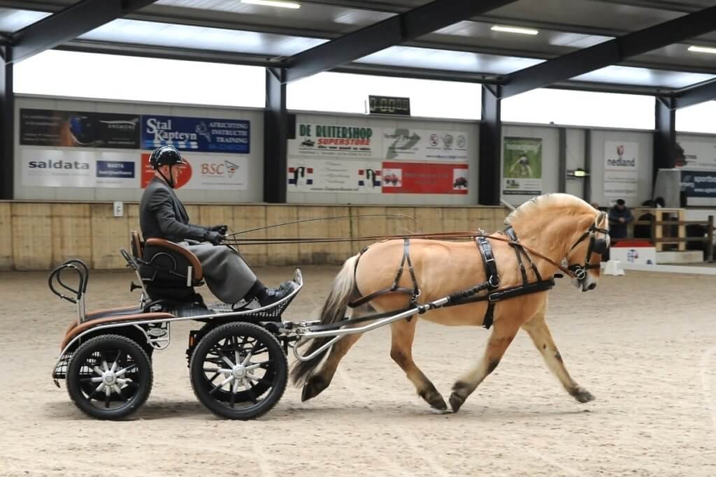 Mogelijkheden voor Kür-liefhebbers