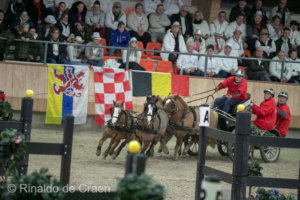 Vierspan pony’s worden smaakmaker in Denekamp