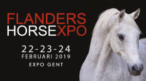 Mennen@ Flanders Horse Expo