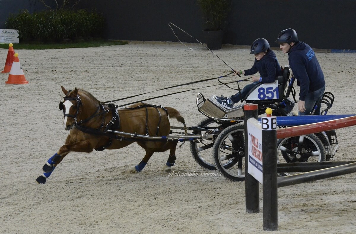 Mennen@Flanders Horse Expo 24 februari 2019