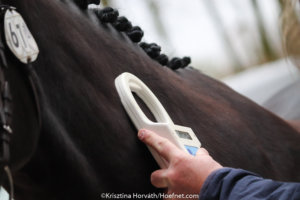 I&R paardenhouderij mogelijk vanaf 12 april