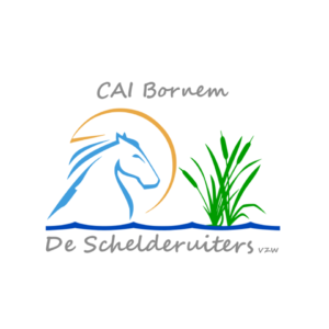 CAI Bornem ook open voor tweesterren en tweespan paarden