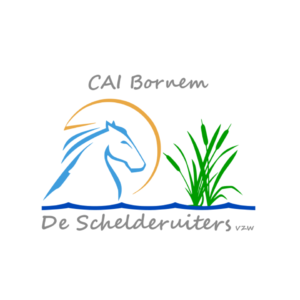 Own stabling permitted at CAI2* Bornem (Belgium)