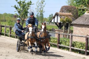 Gezelligheid en sportieve strijd in Kootwijkerbroek