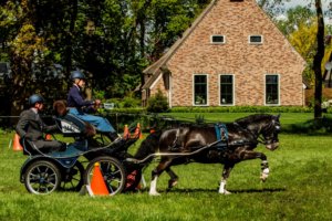 Koude start marathonseizoen Mendistrict Noord