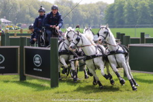 De beste menrassen voor de vierspansport deel 2: Welsh A pony’s