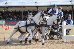 Vierspänner-Spitze am Start in Samorin