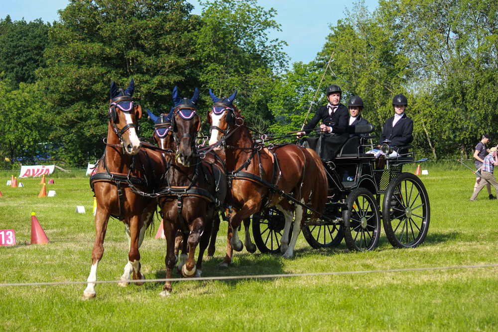 SWM Ugchelen 2019