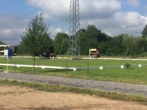 Enkelspanrijders in Bühl opgelet! Electriciteitsmast in de dressuurpiste