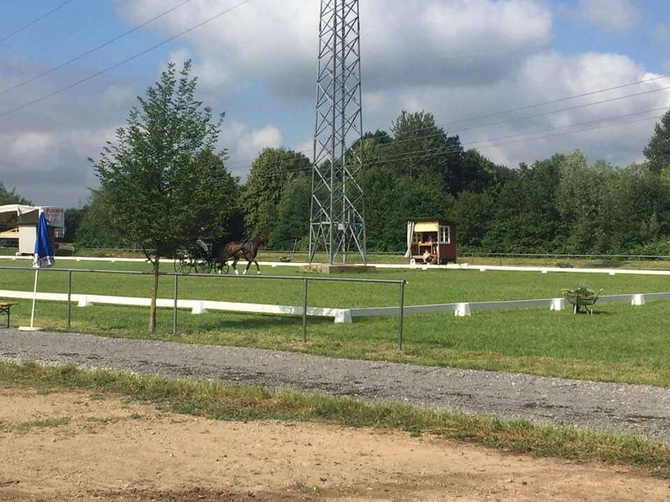 Hinweis für die Einspännerfahrer in Bühl! Strommast im Dressurviereck