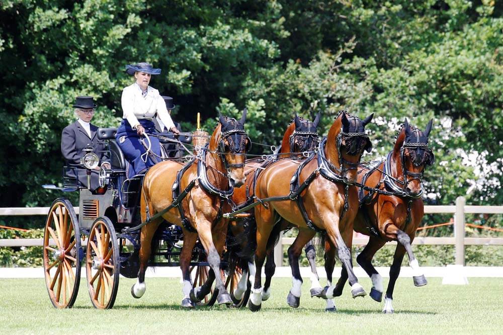 Riesenbeck 2019: dressuur