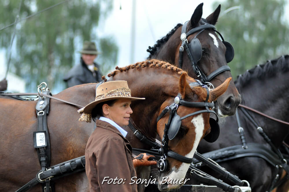 Altenfelden 2019: vaardigheid