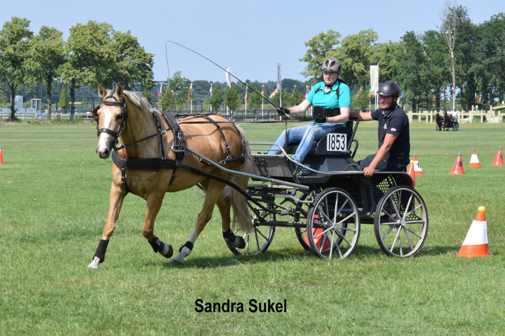 Vaardigheidstraining bij Grandorse 23 juni 2019