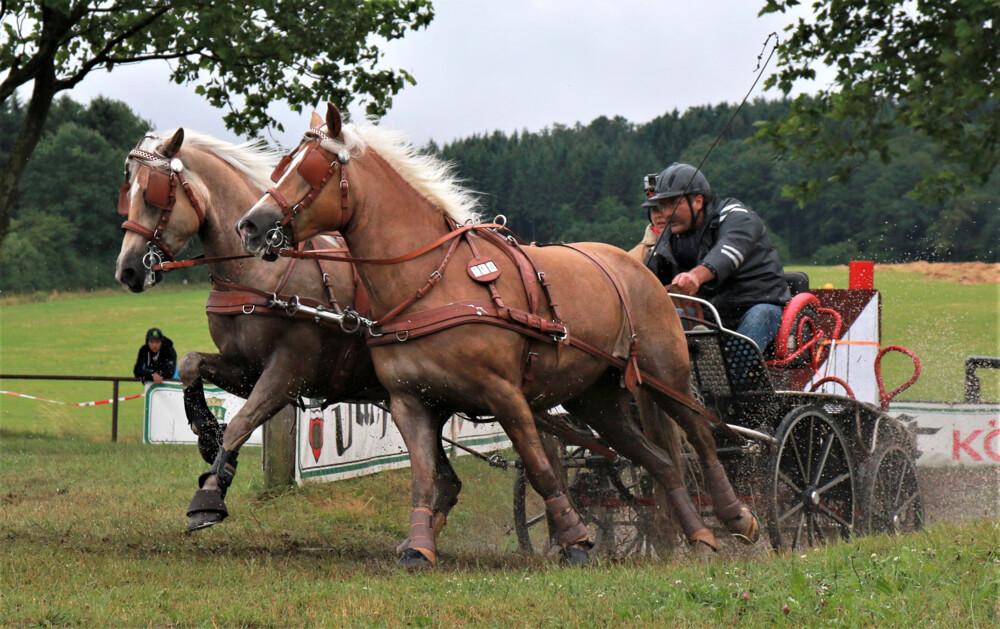 Rheinische Meisterschaften Fahren in Reichshof