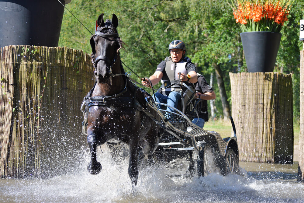 Finale KNHS-Witte Van Moort Para Mentrophy in Beekbergen