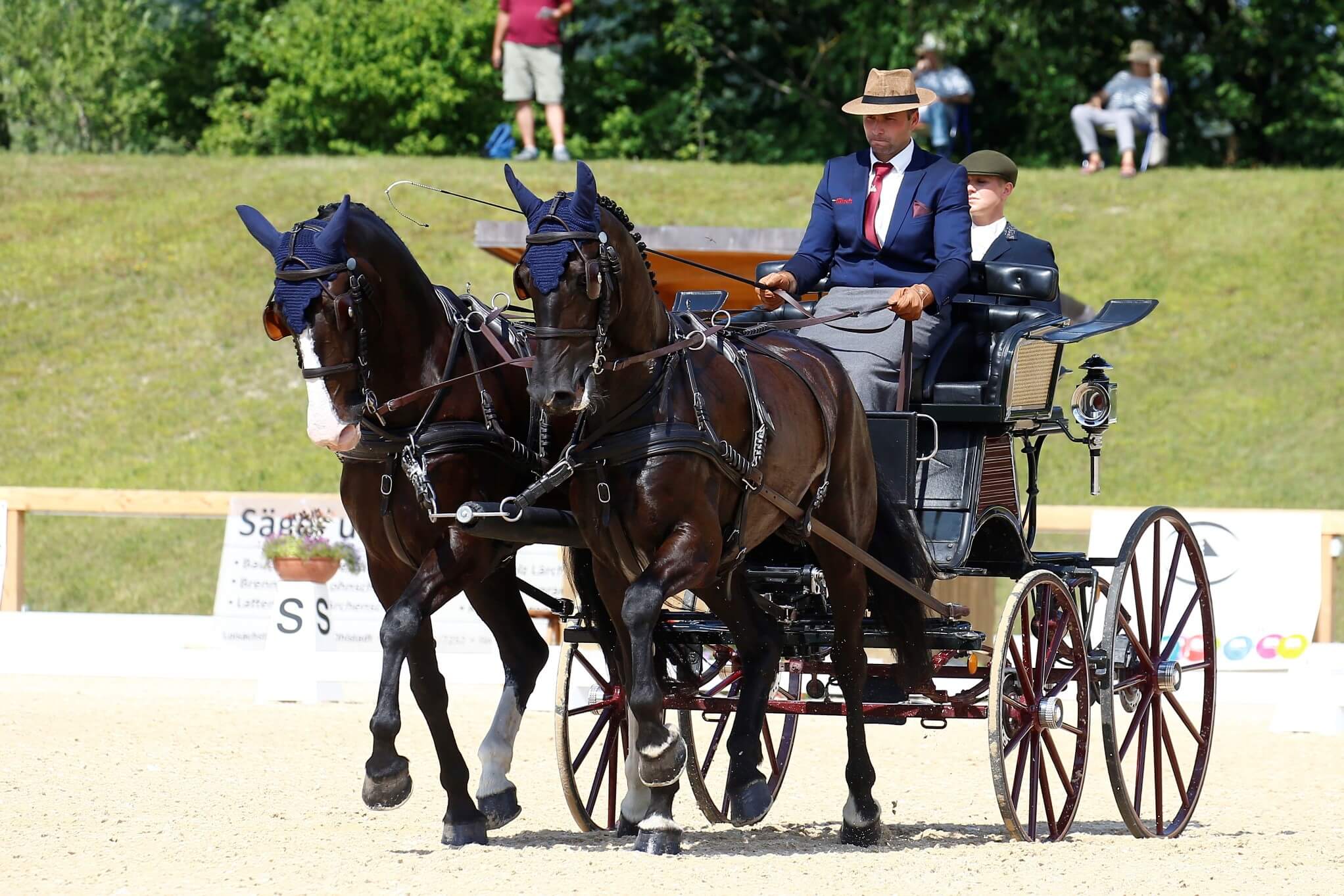 Schwaiganger 2019: Dressage