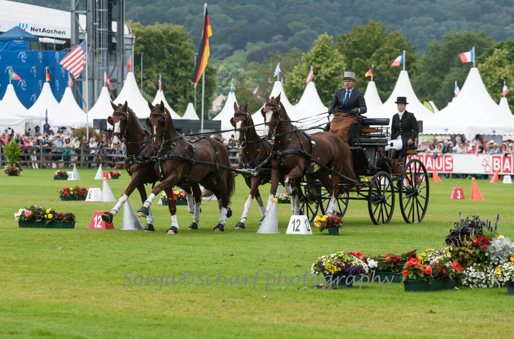 Aachen 2019: cones & prize giving