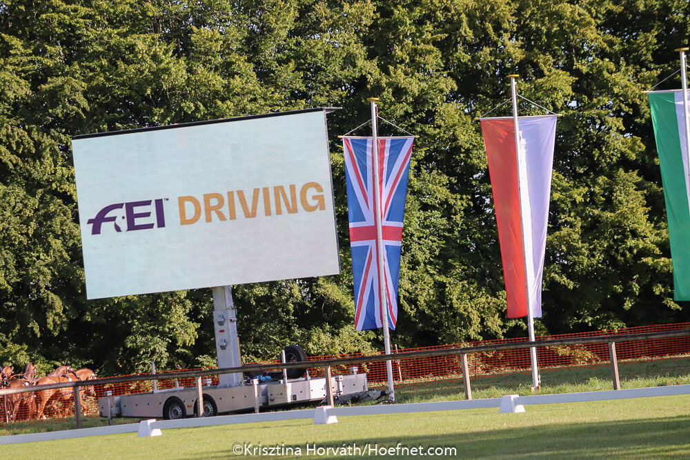 Donaueschingen 2019: dressage