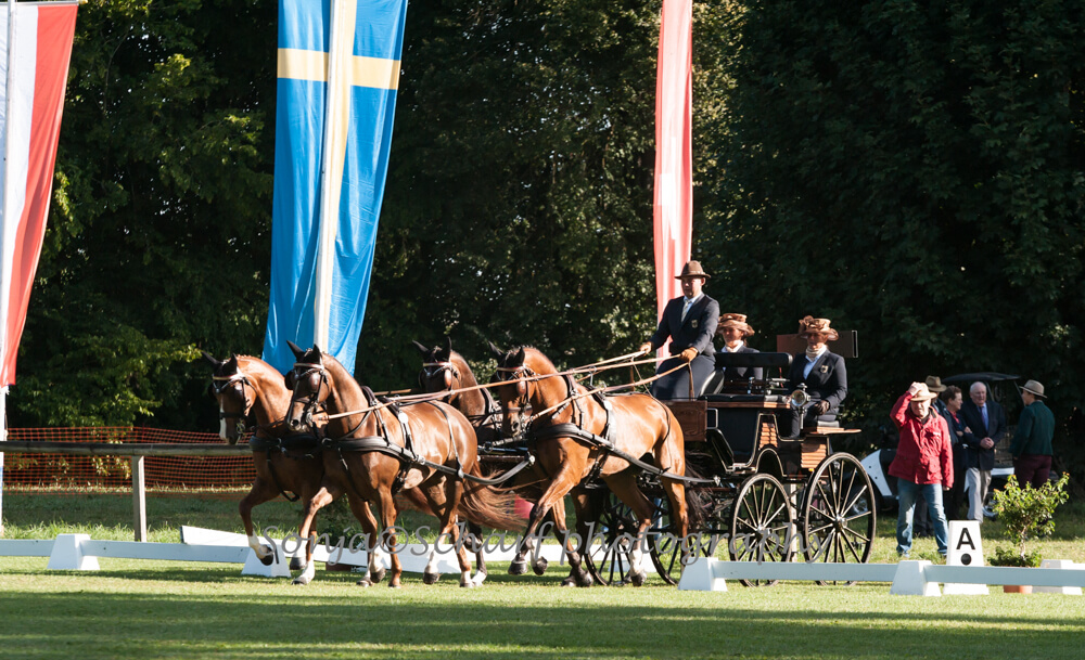 Donaueschingen 2019: dressuur