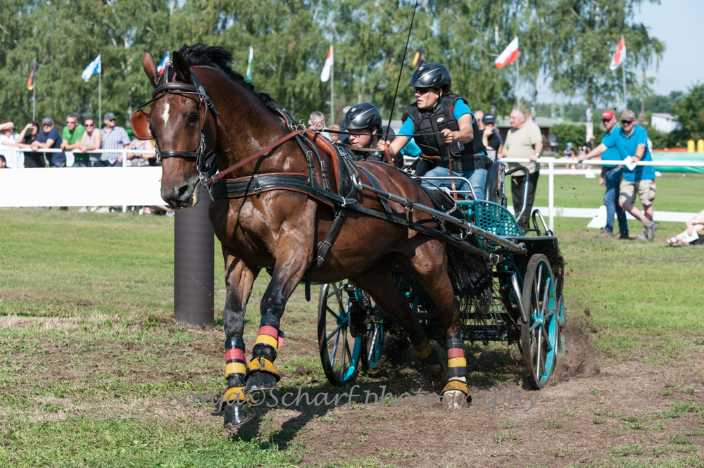 Viernheim 2019: Marathon