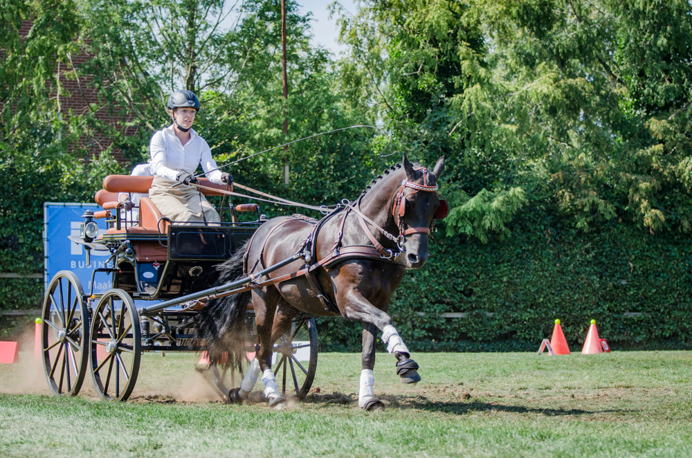 Oirschot 2019: vaardigheid