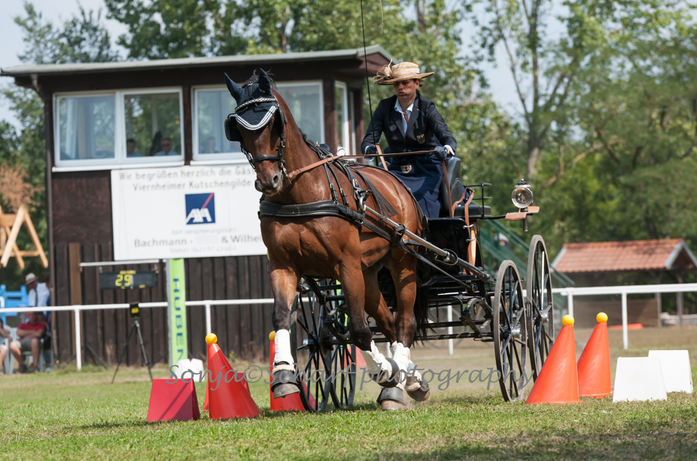 Viernheim 2019: akadályhajtás