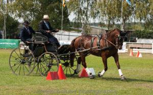 Viernheim 2019: Sixth National Title for Dieter Lauterbach