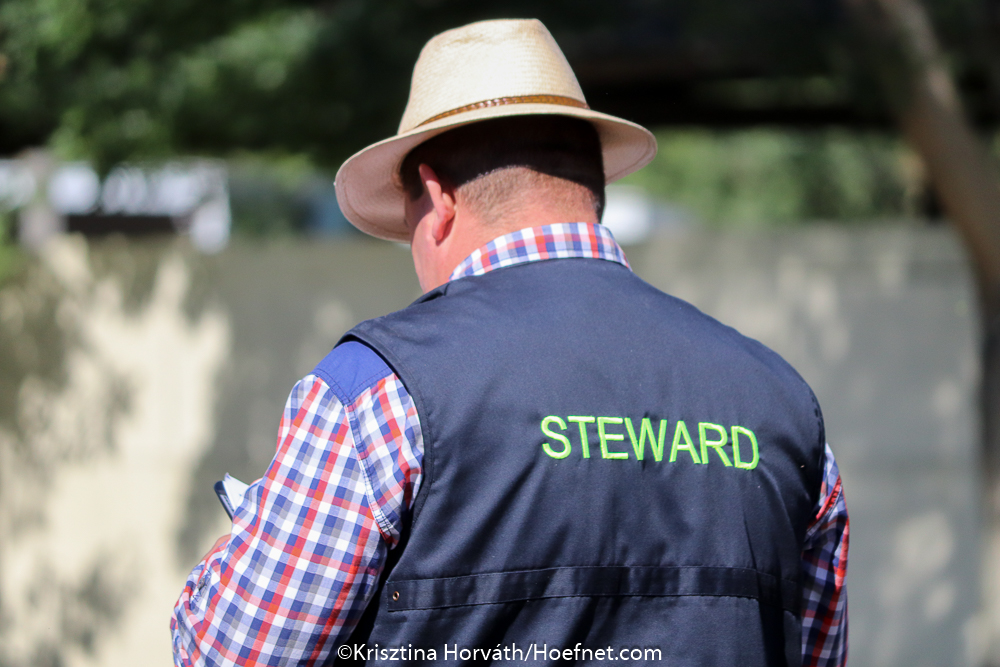 Mezőhegyes 2019: horse inspection