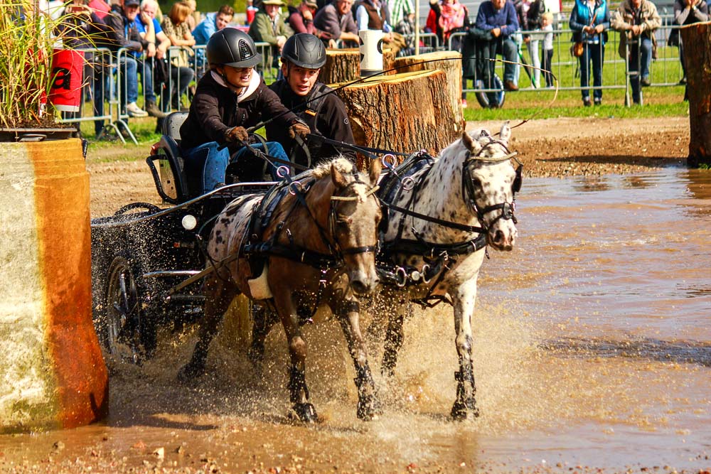 KNHS kampioenschap SWM Hengelo Gld 2019: zaterdag