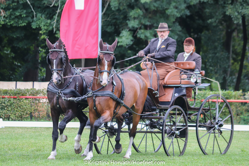 Drebkau 2019: dressage Thursday