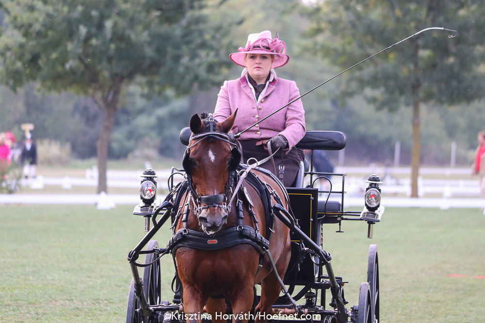 Kisbér-Ászár 2019: Dressage Wednesday