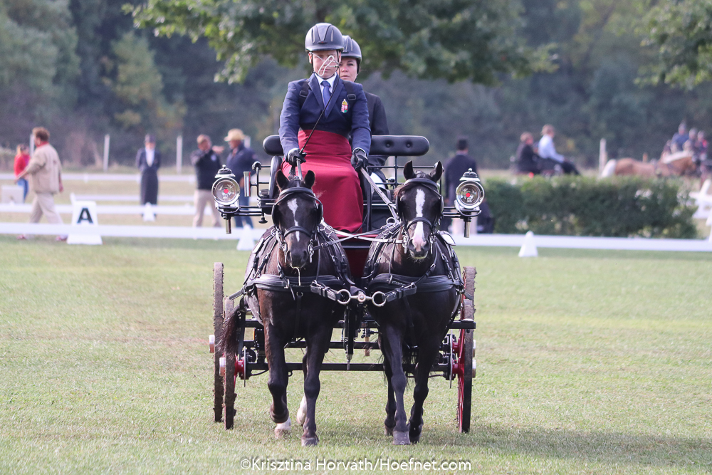 Kisbér-Ászár 2019: Dressage Thursday