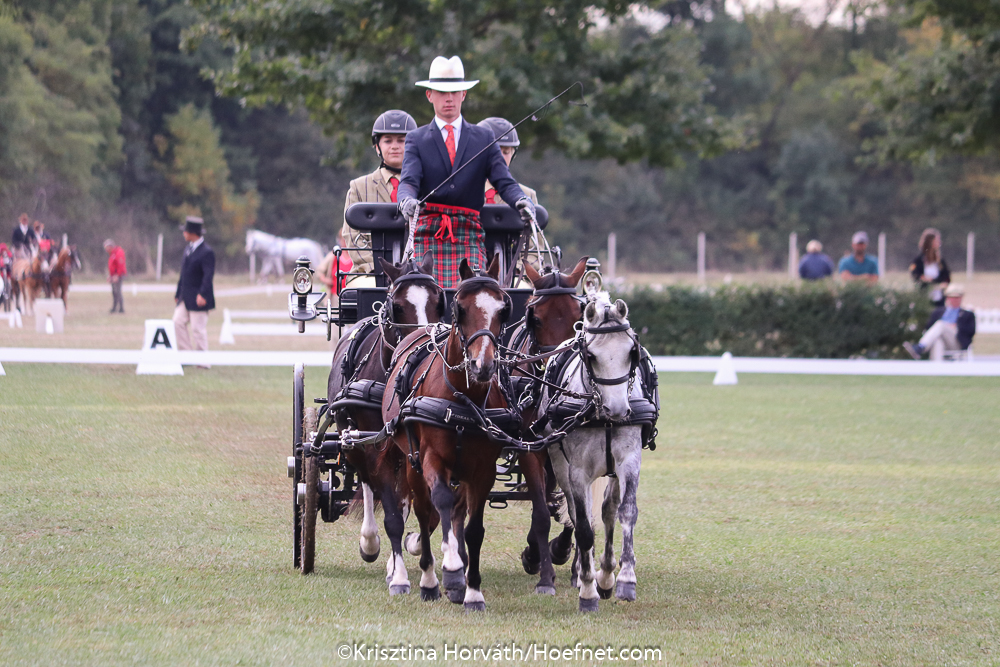 Kisbér-Ászár 2019: dressage Friday