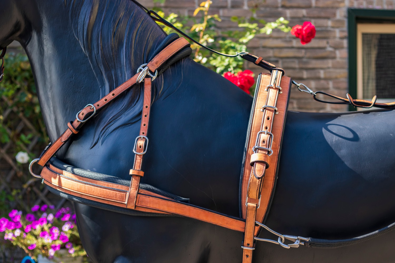 Van der Wiel introduces new training harness for hackney and Dutch harness  horses - Hoefnet nieuws over in- en outdoor menwedstrijde
