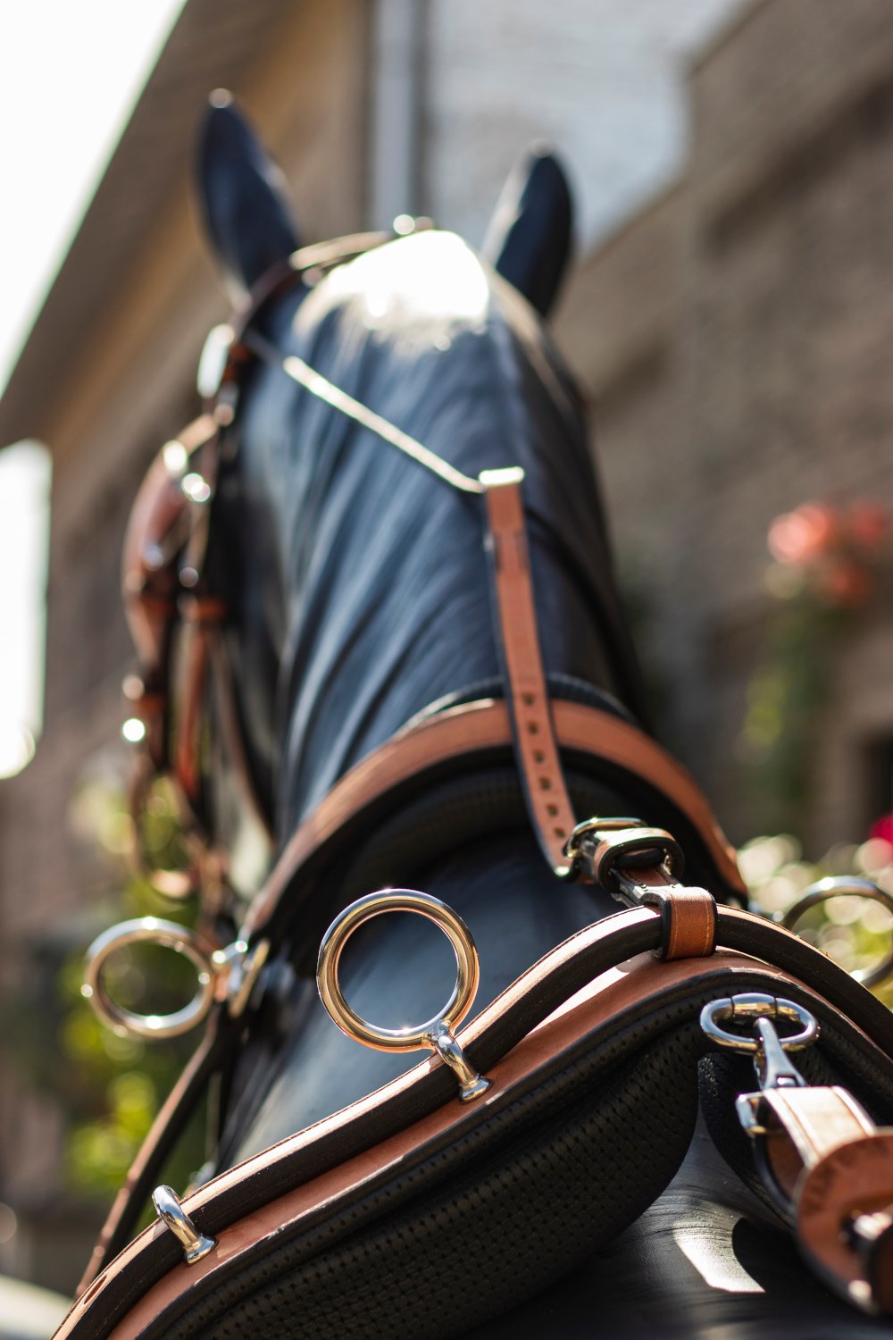 The outstanding tandem harness exhibit at Van der Wiel Harnessmakers, 2012  