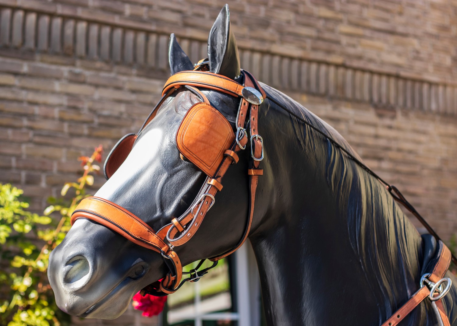 Van der Wiel introduces new training harness for hackney and Dutch harness  horses - Hoefnet nieuws over in- en outdoor menwedstrijde