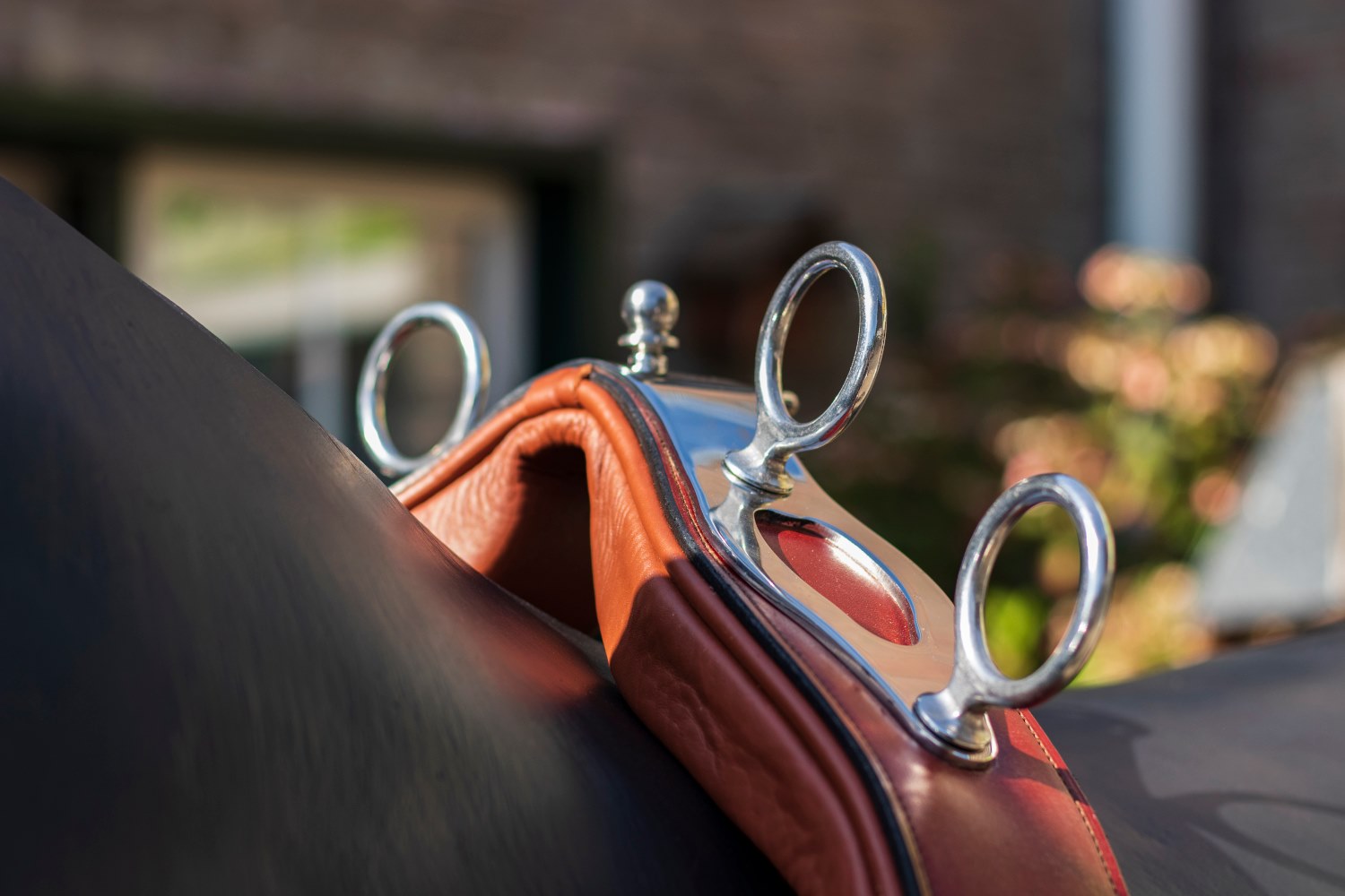 Van der Wiel introduces new training harness for hackney and Dutch harness  horses - Hoefnet nieuws over in- en outdoor menwedstrijde