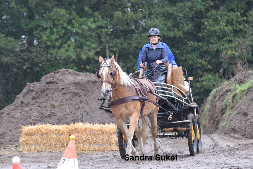 Minimarathon bij RT Stables Heijen