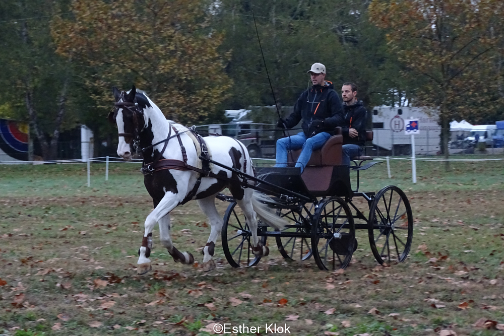 Pau 2019: impressie