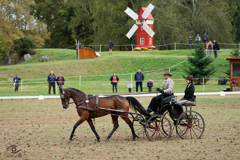 Pau 2019: dressage