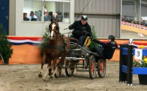 Edward Gal aan de leidsels tijdens Betuwe Linge Cup