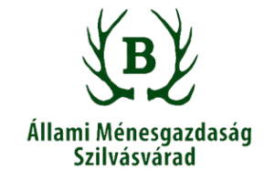 Programm und Jury beim CAI Szilvásvárad bekannt